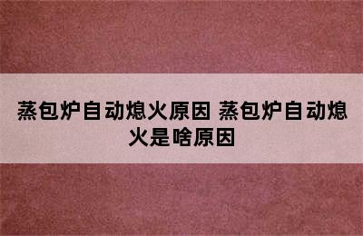 蒸包炉自动熄火原因 蒸包炉自动熄火是啥原因